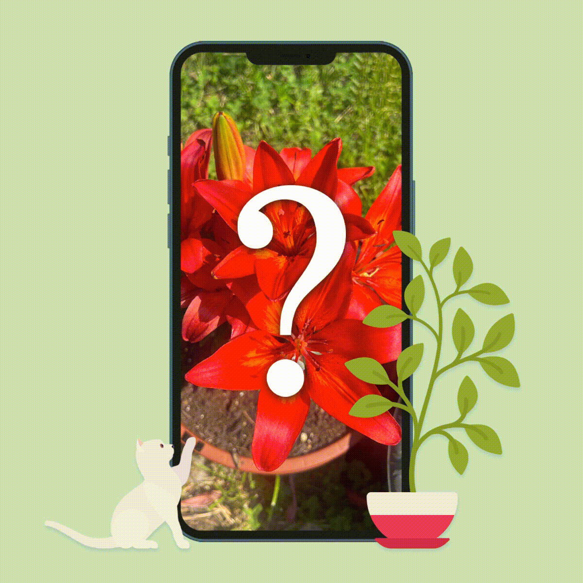 How to Identify Plants with an iPhone in 4 Simple Steps