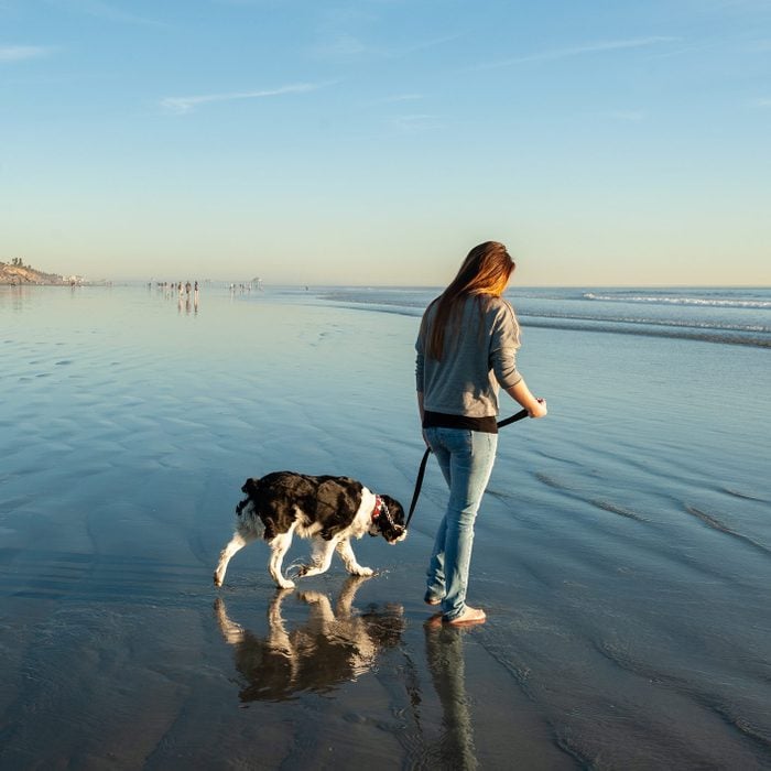 Teen Girl Walking Dog On Ocean Beach