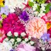What Are Your Birth Flowers, and What Could They Reveal About Your Personality?