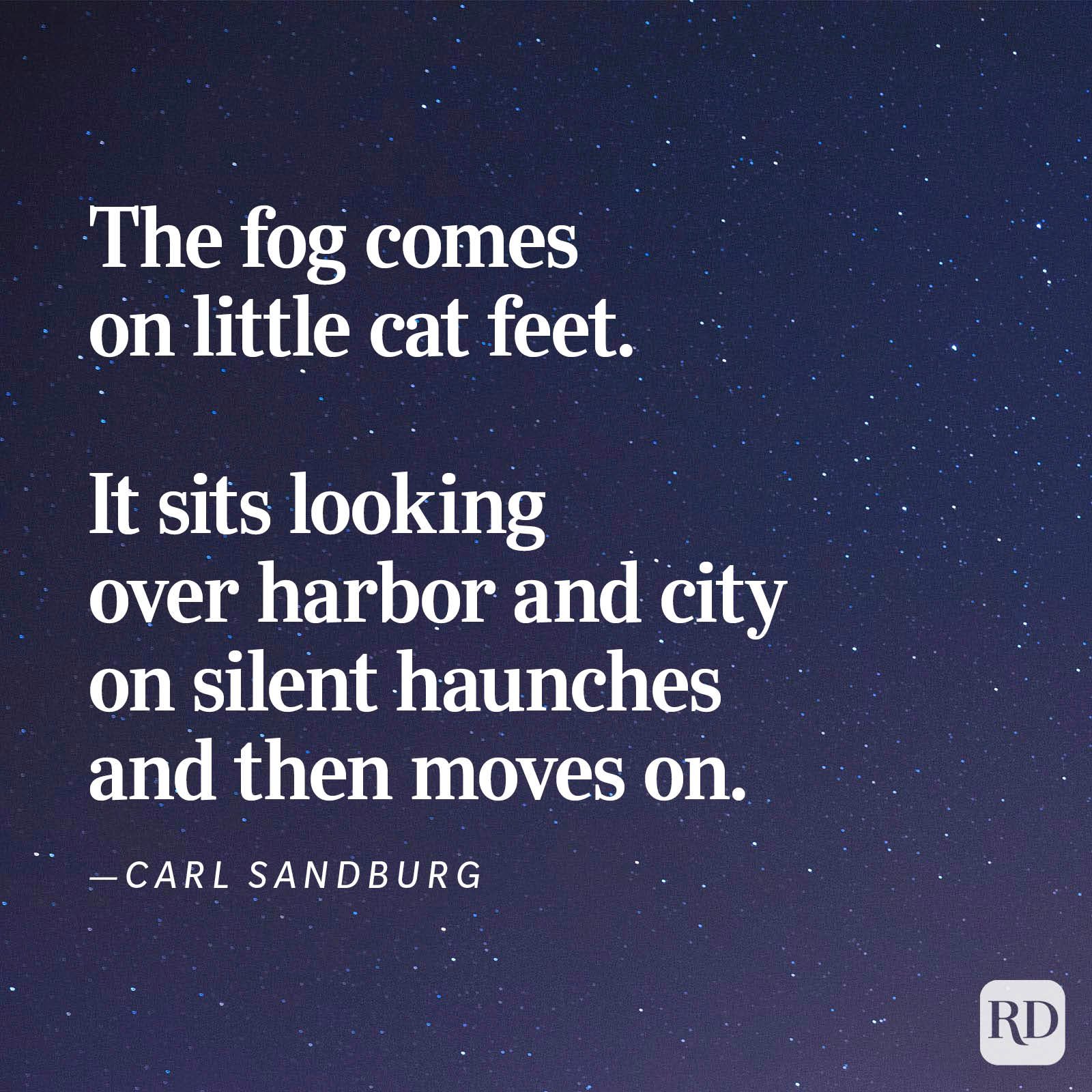 35 Poems About Nature That Highlight the Beauty of Our World