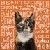 200+ Cute Cat Names You'll Paws-itively Love