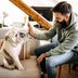12 Easiest Tricks to Teach Your Dog Today