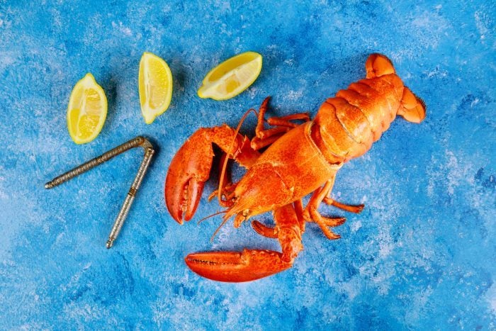 how-to-eat-lobster-like-a-pro-5-steps-to-eating-a-whole-lobster