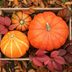 When Is the First Day of Fall 2023? Fun Facts About the Fall Equinox