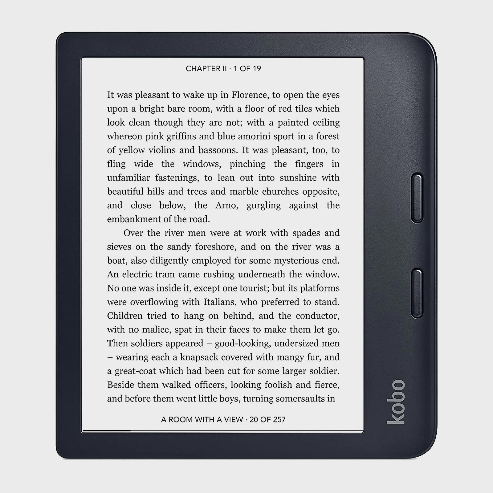 Kobo eReader Devices & Accessories in Books 