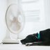 Warning Signs Your Dog Is Suffering from Heat Stroke—and What to Do About It