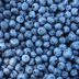 I Ate Blueberries Every Day for a Week—Here’s What Happened