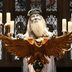 43 Iconic Words of Wisdom from Dumbledore