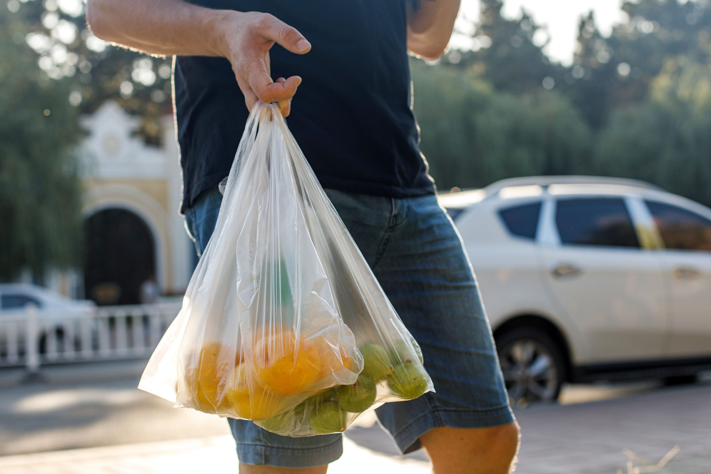 Man carrying plastic bags with produce groceries