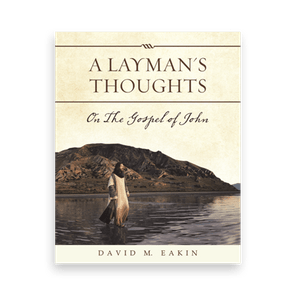 813230 A Laymans Thoughts By David M Eakin Liferich Cover