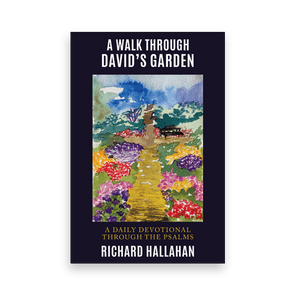 817334 A Walk Through Davids Garden By Richard Hallahan Liferich Cover