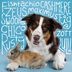 151 Best Pet Names for Dogs, Cats and All Your Sweet Fur Babies