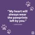 69 Comforting Pet Loss Quotes to Help You Grieve Your Furry Friend