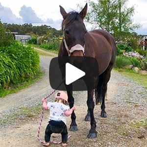 child holding the rope tied to a horse