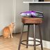 Our Editors Tested the 10 Best Vacuums for Pets to Truly Eliminate Pet Hair
