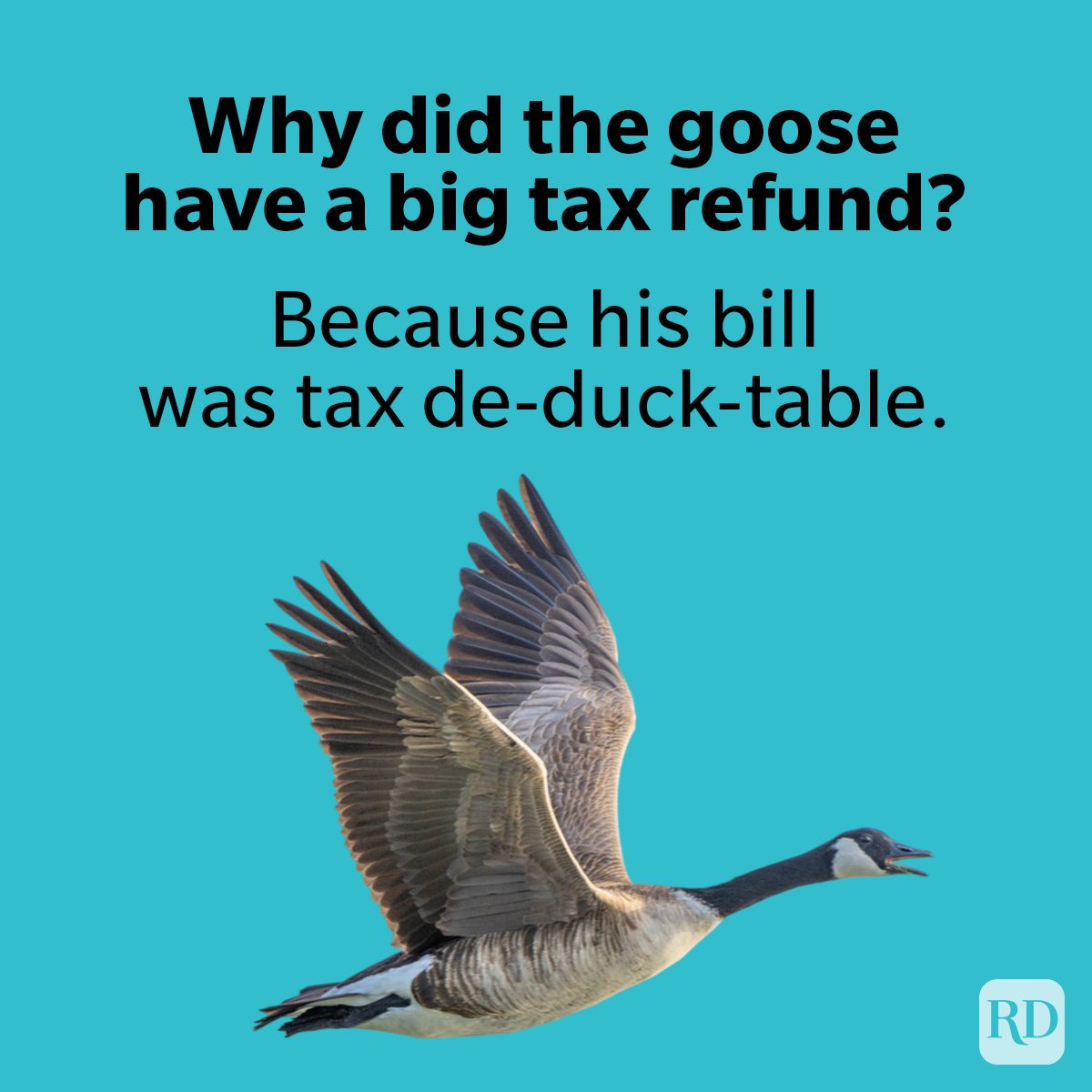 Tax Jokes