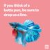 153 Fish Puns That Will Split Your Gills