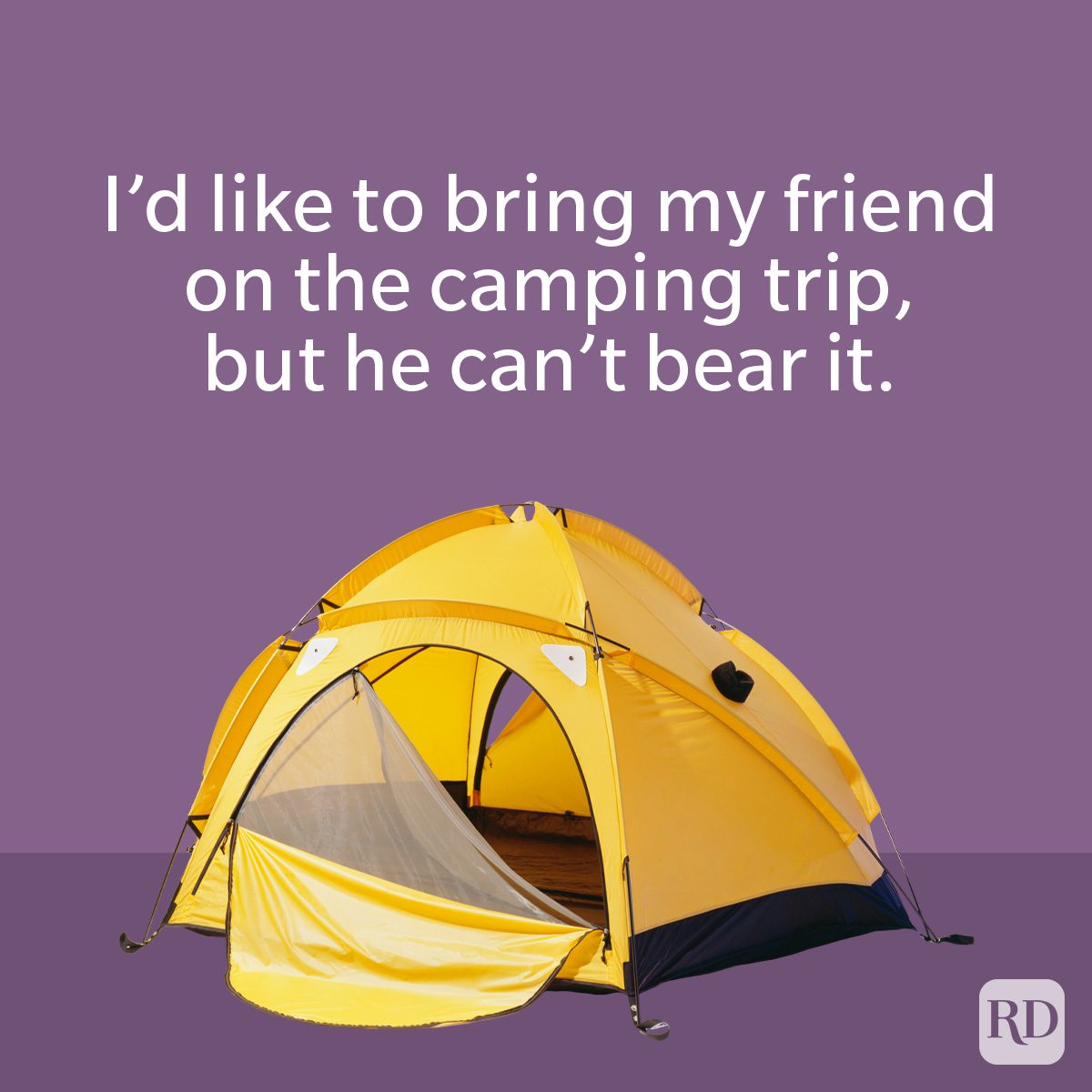 Camping Puns