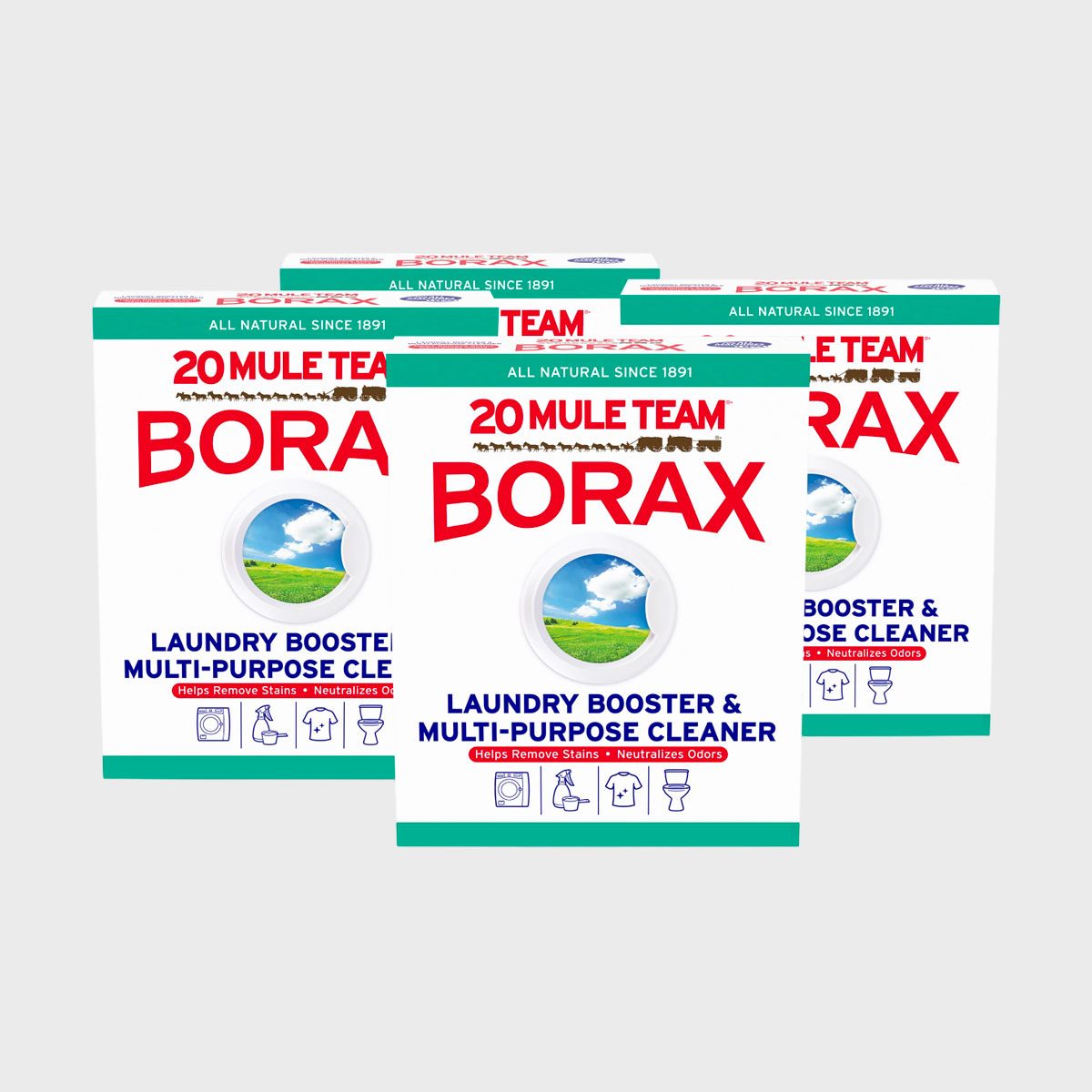 20 Mule Team All Natural Borax Detergent Booster