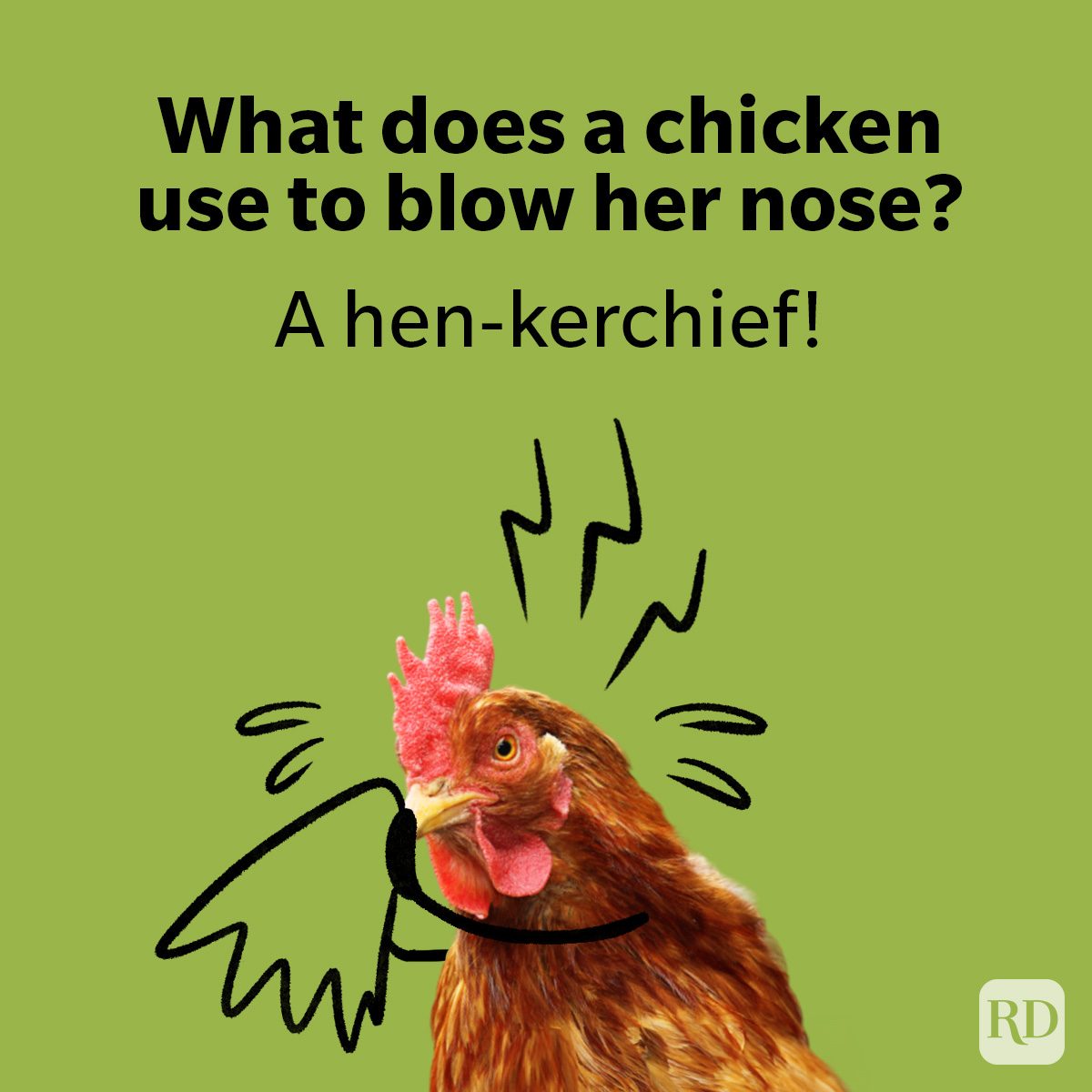 Chicken Puns For Kids Chicken Puns For Kids