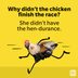 50 Chicken Puns That Are Eggs-traordinarily Funny