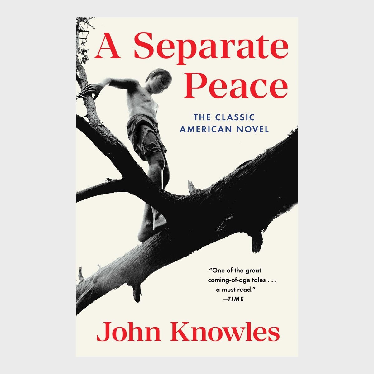 A Separate Peace By John Knowles