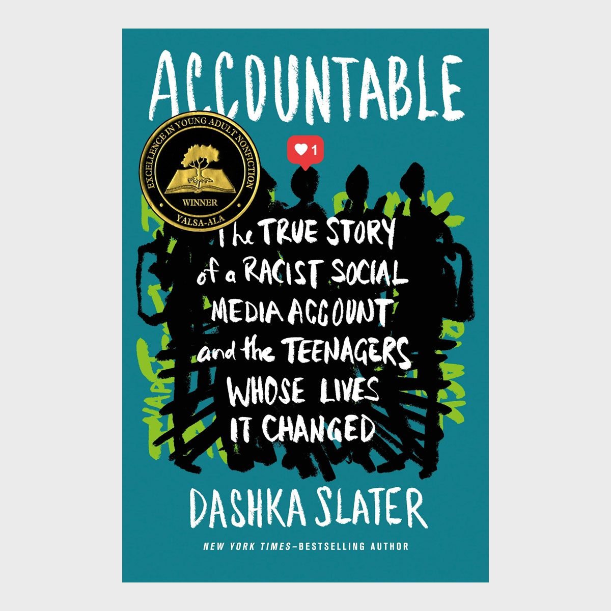 Accountable The True Story Of A Racist Social Media Account And The Teenagers Whose Lives It Changed By Dashka Slater