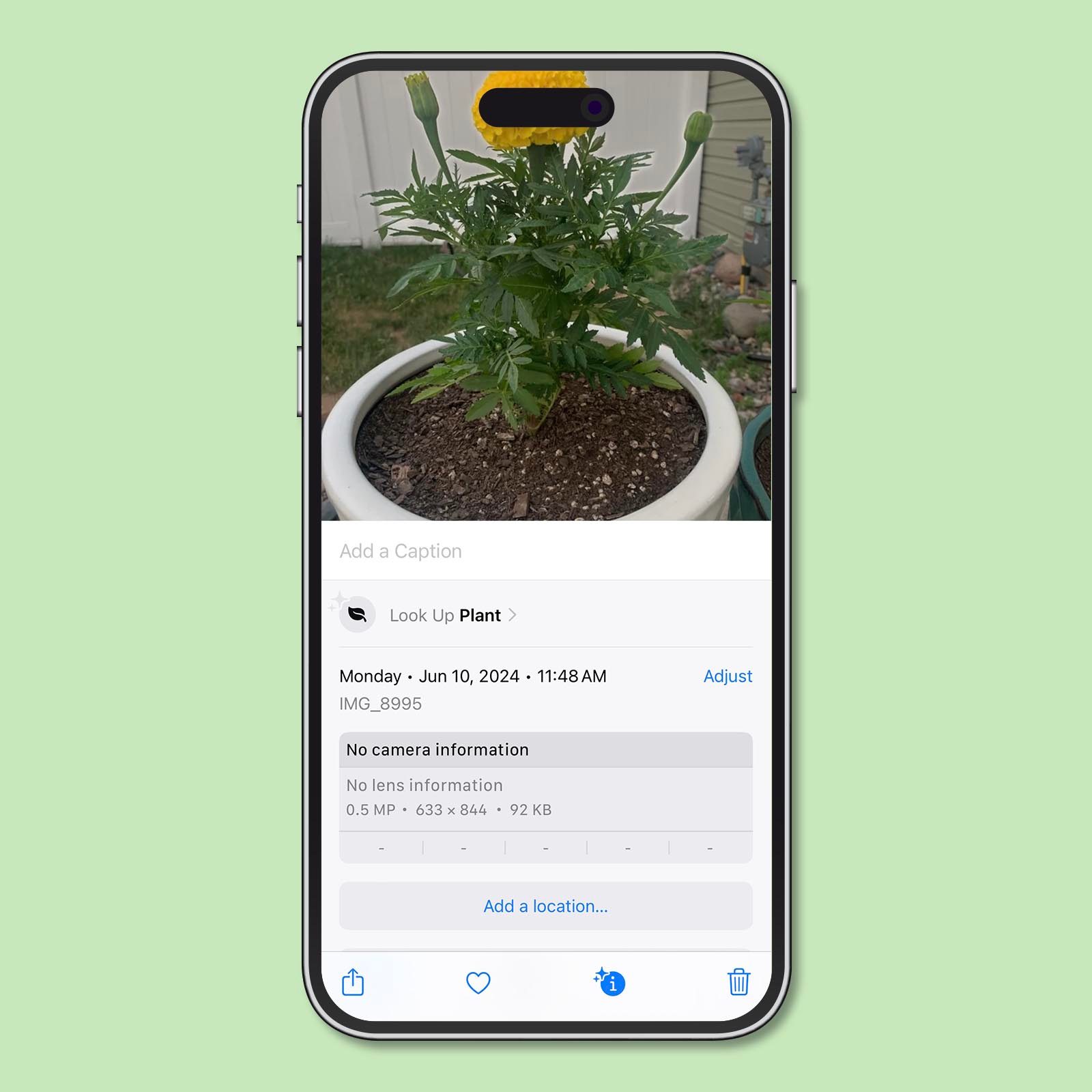 How To Identify Plants With An Iphone 2