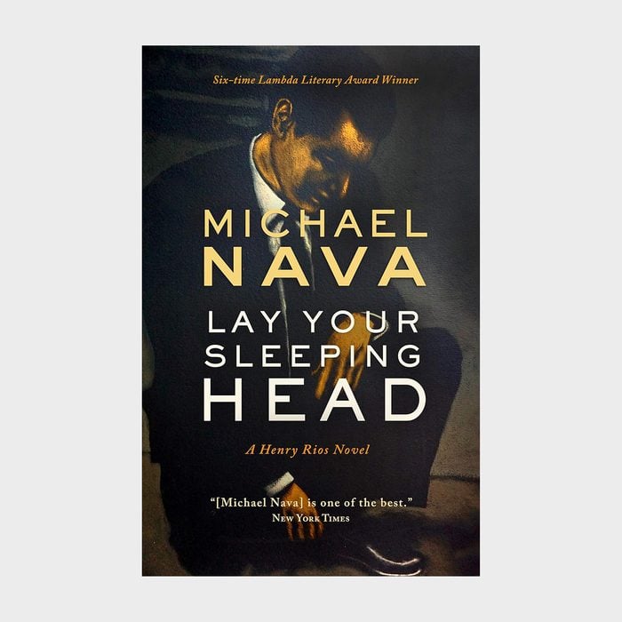 Lay Your Sleeping Head By Michael Nava