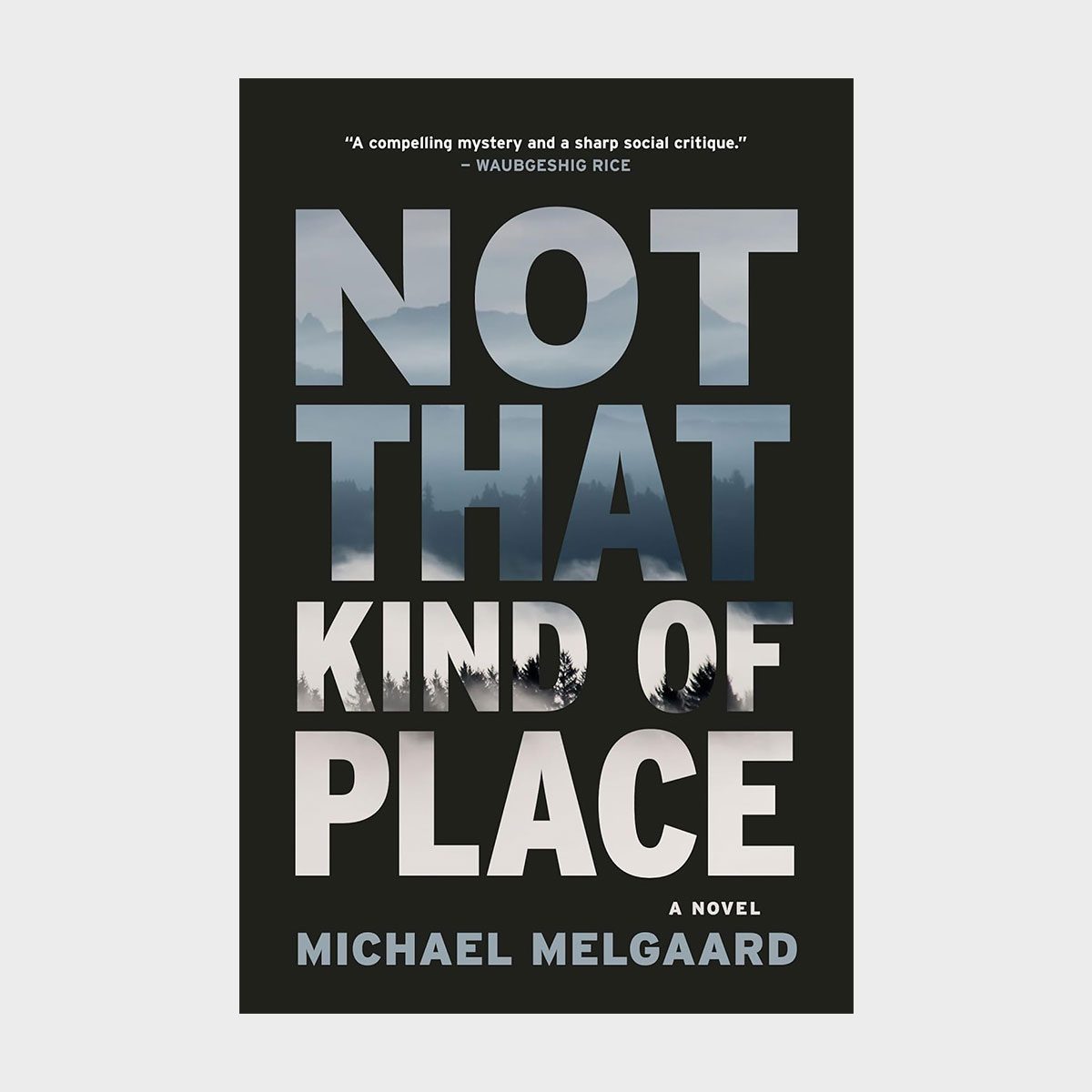 Not That Kind Of Place By Michael Melgaar
