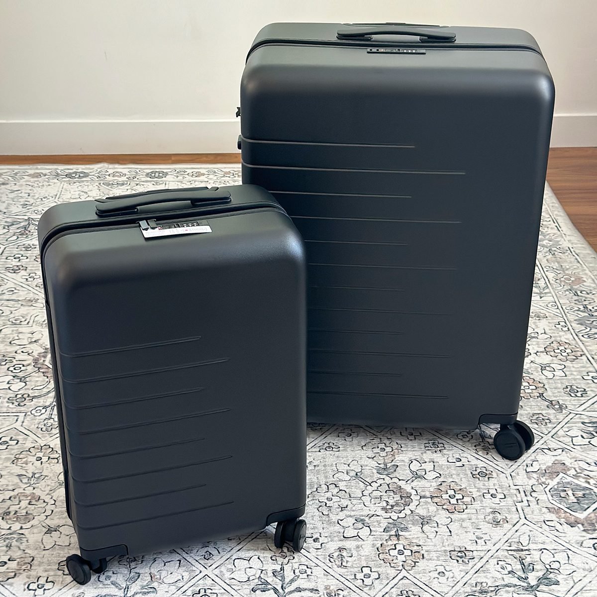 Quince Luggage Review Ft Nina Derwin Ssedit