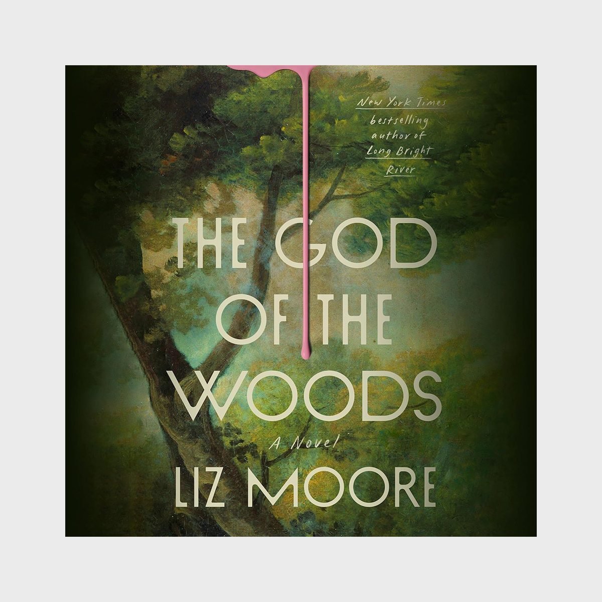 The Gods Of The Woods By Liz Moore
