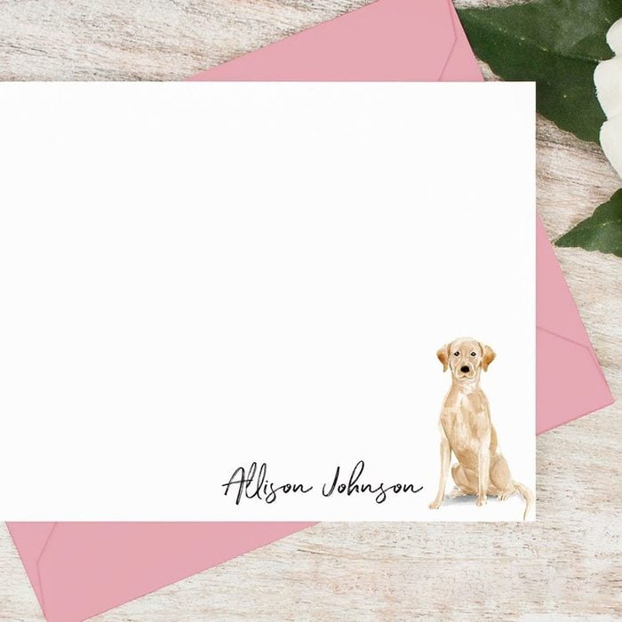 Curiopress Personalized Animal Note Card Set