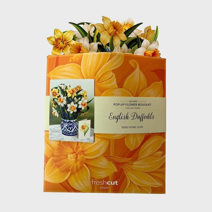 Fresh Cuts Paper English Daffodils Ecomm Via Amazon.com