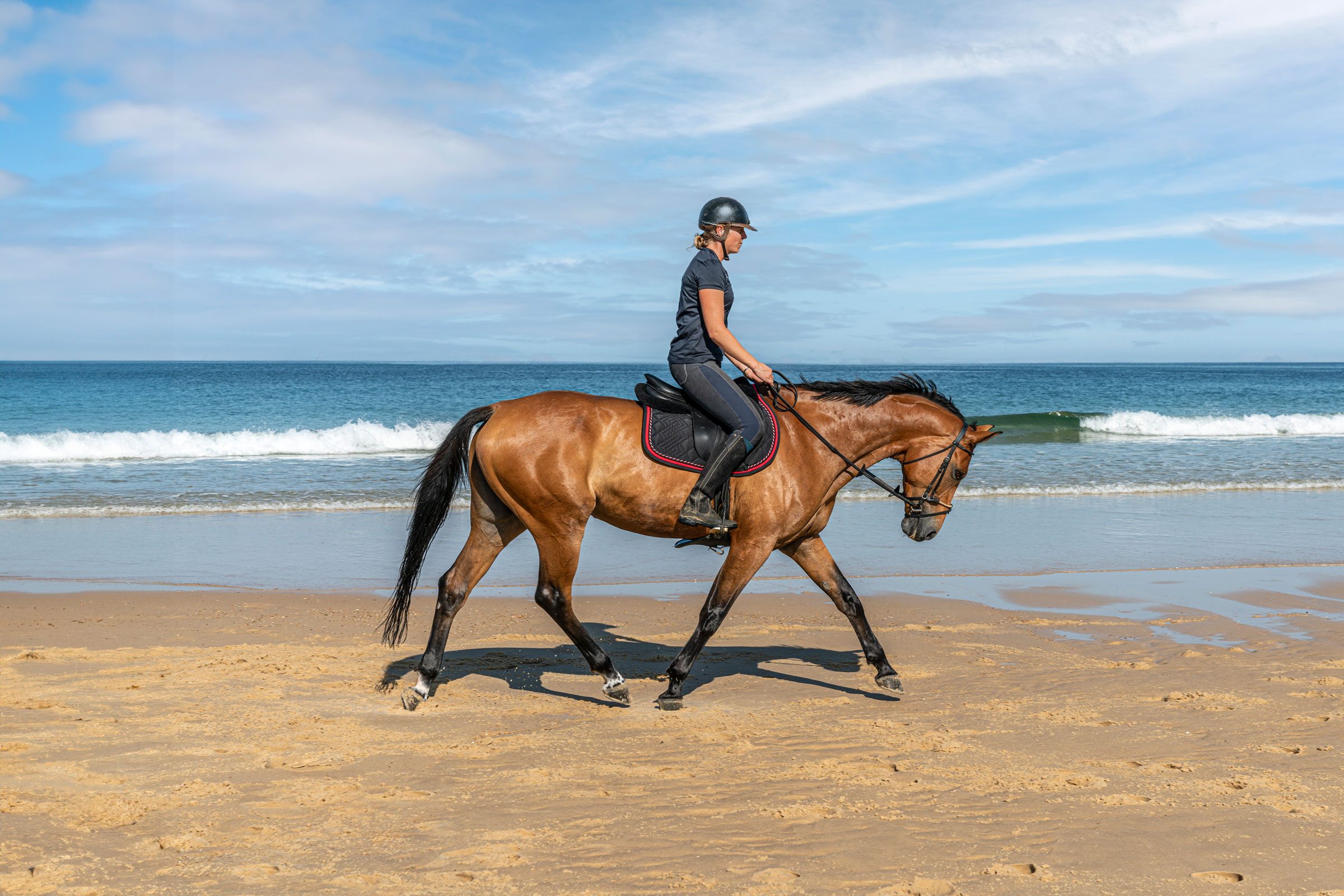 Young woman riding horse on the beach. 