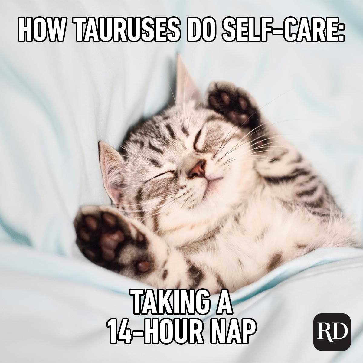 Hilarious Zodiac Memes That'll Crack You Up kitten deep sleep self care taurus