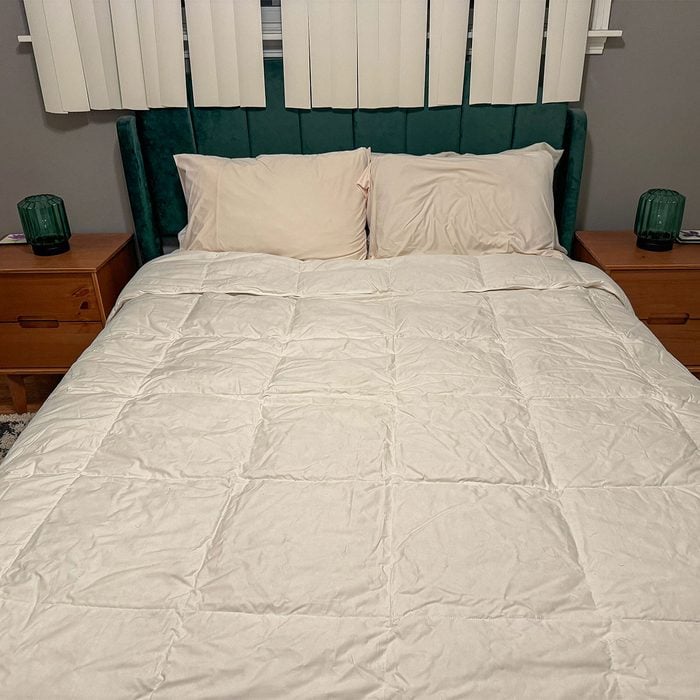 Lacrosse Premium Down Light Warmth Comforter