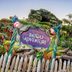 13 Things You Didn't Know About Tiana's Bayou Adventure, Disney's Newest Attraction