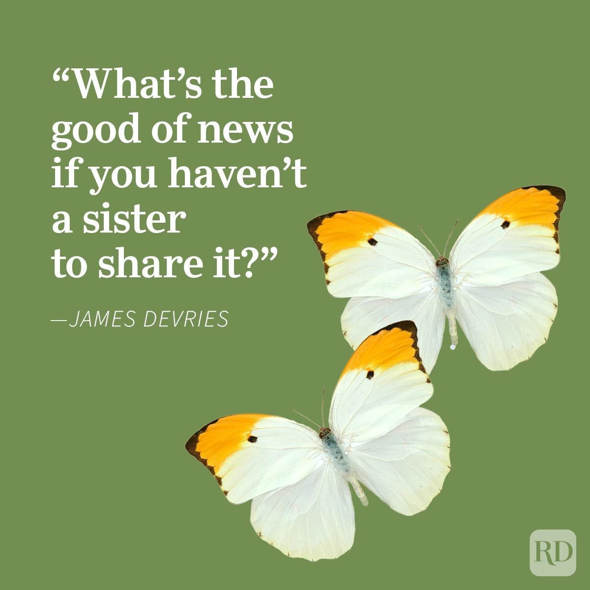 Sister Quotes That Perfectly Sum Up Your Relationship James Devries, butterflies, green