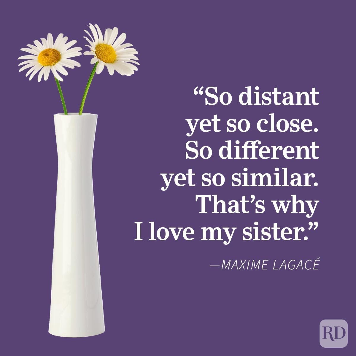 Sister Quotes That Perfectly Sum Up Your Relationship Maxime Lagacé, white daisies in a vase, purple