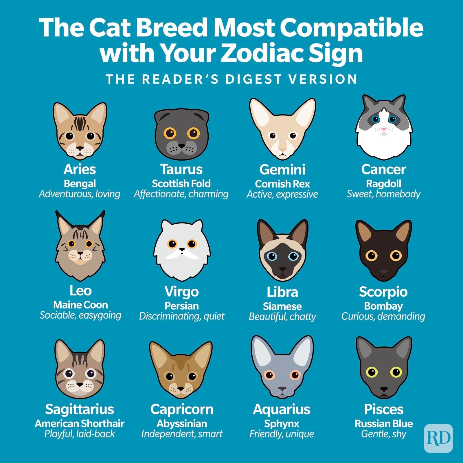 The Cat Breed Most Compatible With Your Zodiac Sign Infographic