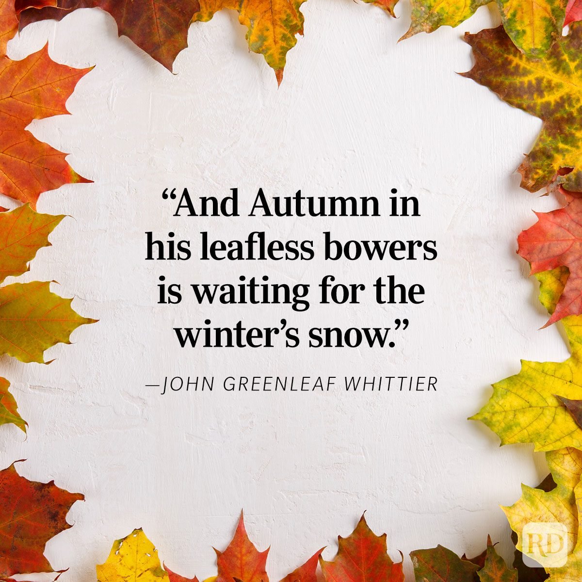 Beautiful Fall Quotes Graphic