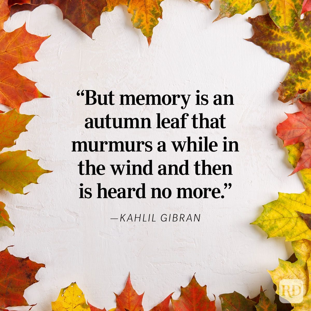 Fall Quotes About Autumn Leaves