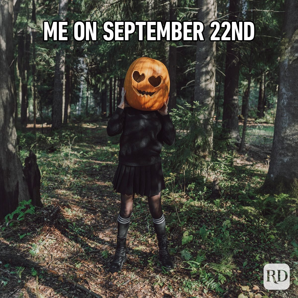 Funny Fall Memes To Perfectly Sum Up Autumns Humor