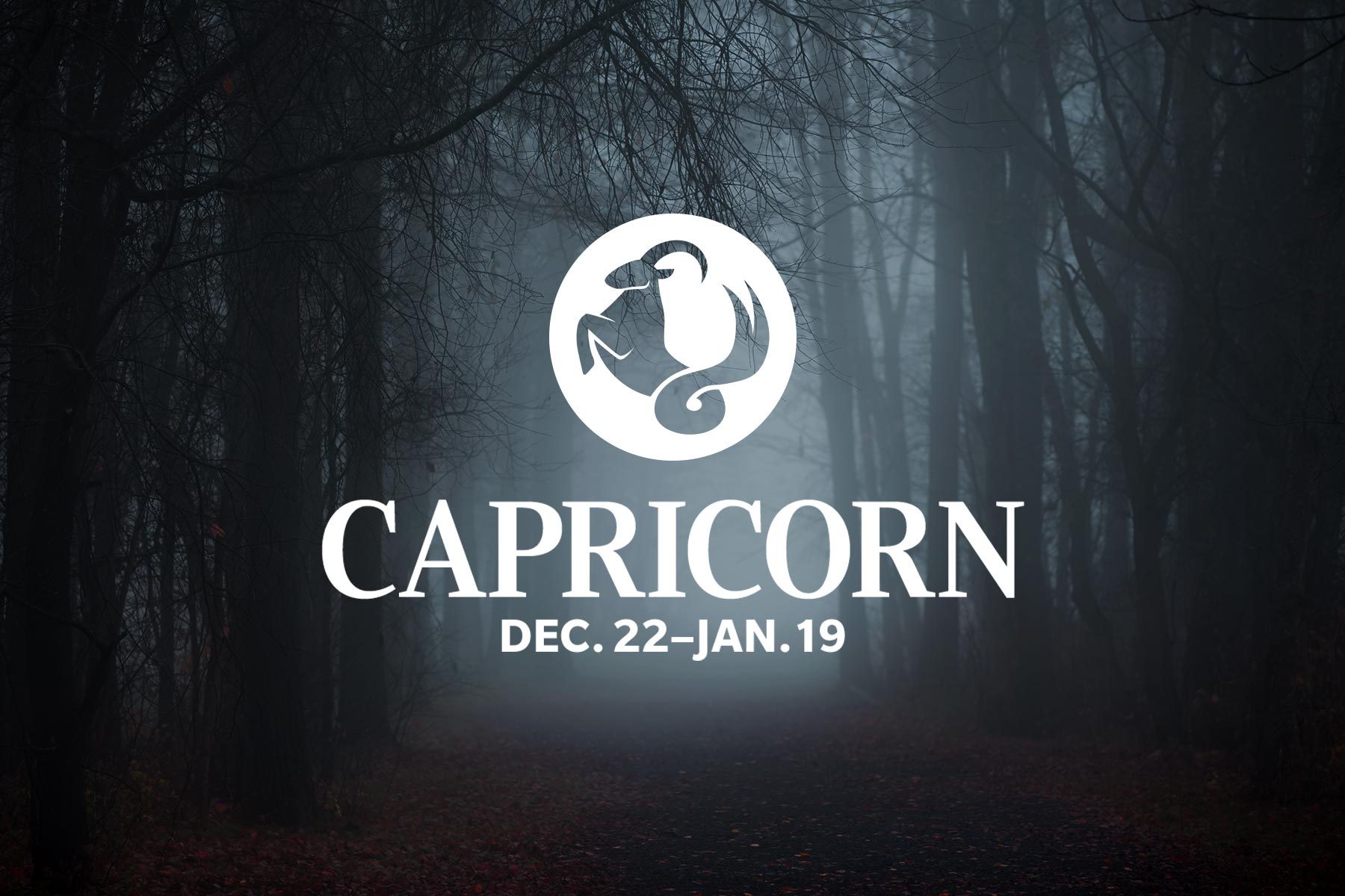 These Are Your Biggest Fears, According To Your Zodiac Sign on spooky woods forest dark foggy Capricorn