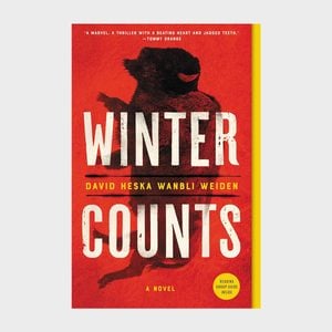 Winter Counts By David Heska Wanbli Weiden
