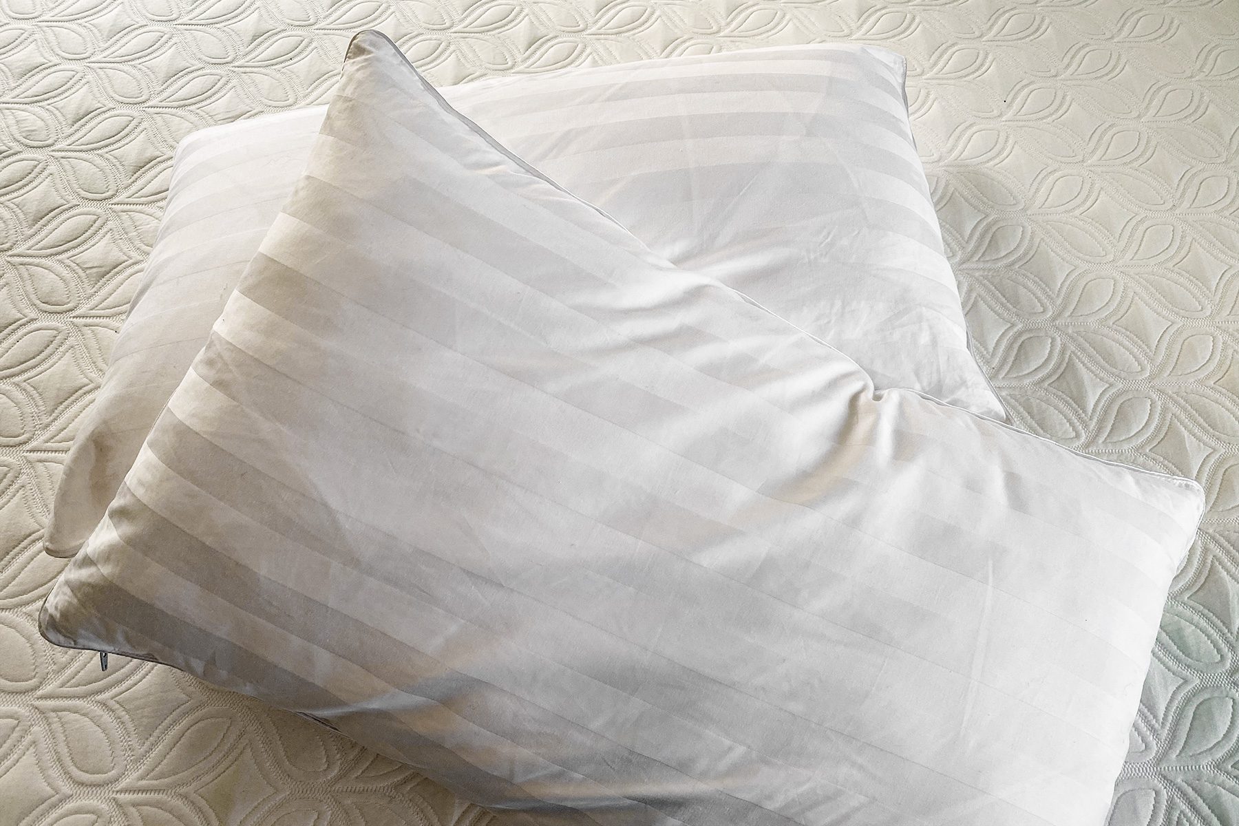 Cocoon Chill Mattress Pillows