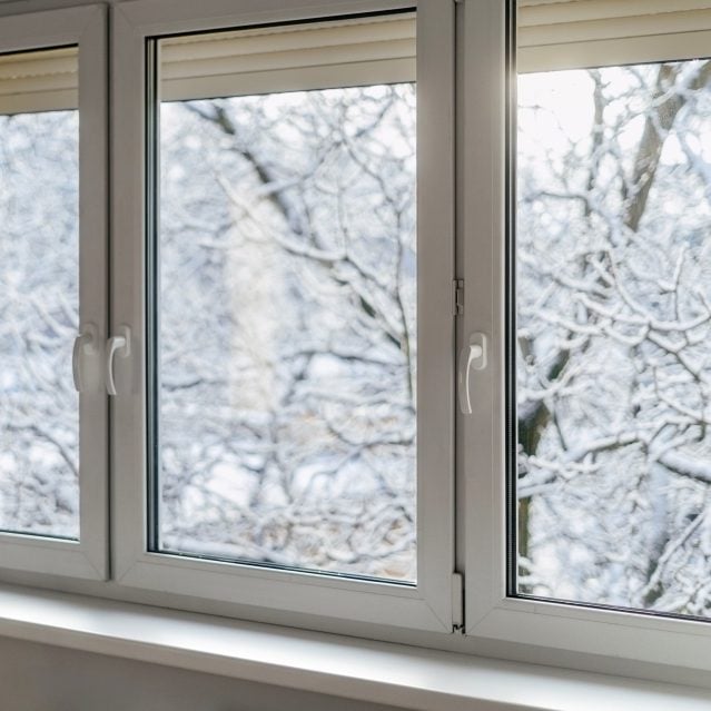 Windows closed, snow on branches outside