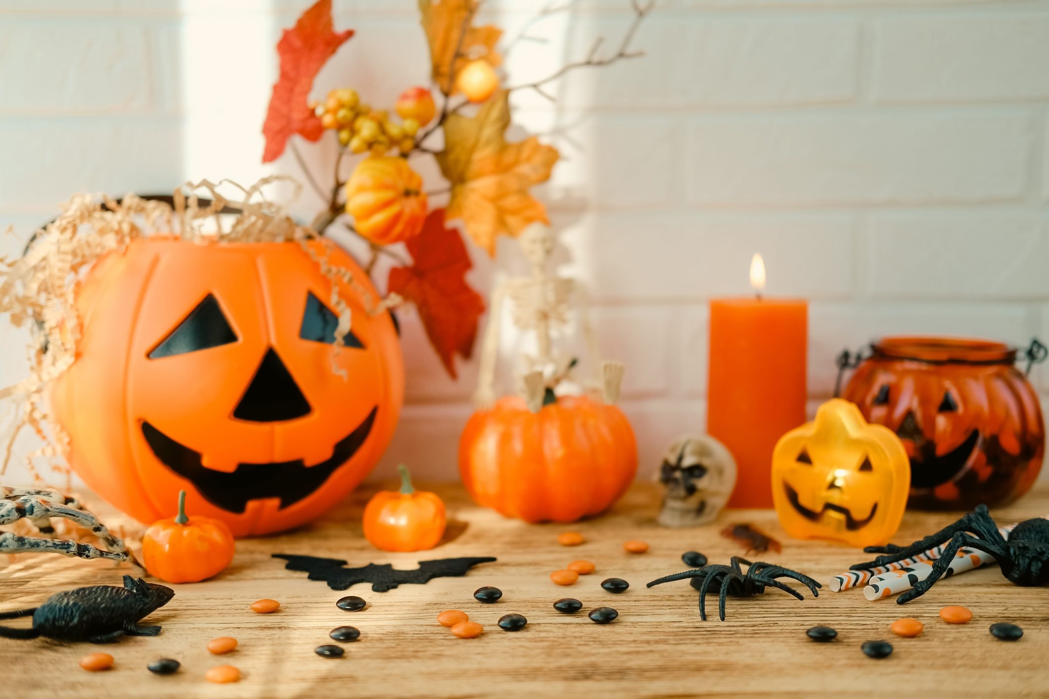 October Holidays and Observances to Celebrate Year After Year