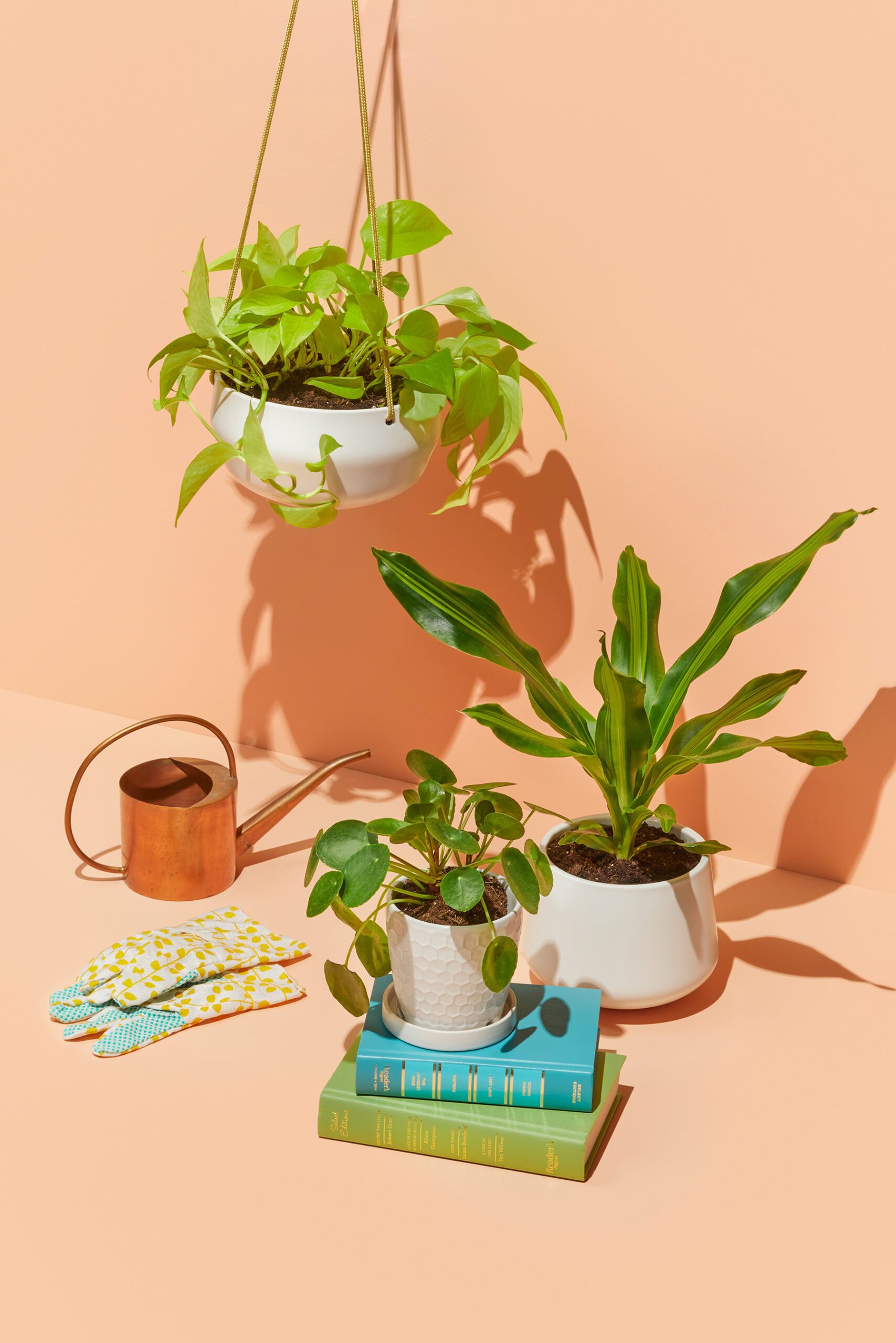 A vibrant arrangement of potted plants against a peach background. There is a hanging plant in a white pot, two potted plants on the surface, a small stack of books, a copper watering can, and a pair of gardening gloves with a floral pattern.